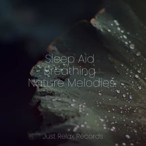Sleep Aid Breathing Nature Melodies - Study Music & Sounds