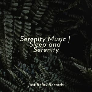 Serenity Music | Sleep and Serenity - Preschool Kids