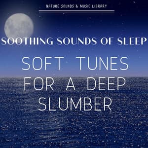 Soothing Sounds of Sleep: Soft Tunes for a Deep Slumber - Nature Sounds & Music Library
