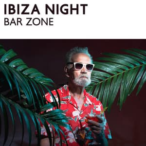 Ibiza Night Bar Zone: Electronic Background Vibrations for Party and Fun - Lounge Bar Ibiza
