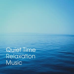 Quiet Time Relaxation Music - Relaxation Study Music