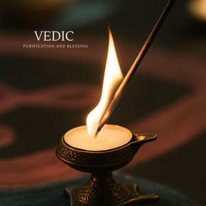 Vedic Purification and Blessing - Indian Dinga Dinga