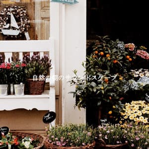 自然の朝のサウンドスケープ - Chill Cafe Songs