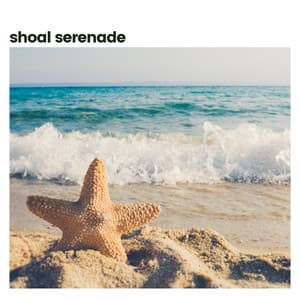 Shoal Serenade - Calm Sea Sounds