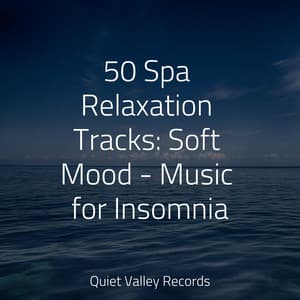 50 Spa Relaxation Tracks: Soft Mood - Music for Insomnia - Fresh Water Sounds For Inner Peace