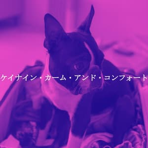 ケイナイン・カーム・アンド・コンフォート - New Orleans Jazz Playlist