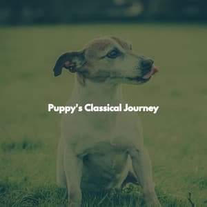 Puppy's Classical Journey - Coffee Lounge Jazz Lounge