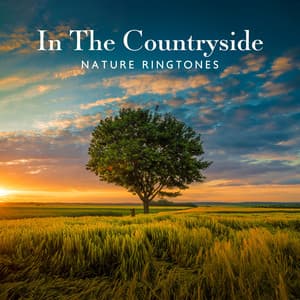 In The Countryside - Nature Ringtones: Calming Sounds of Rain, Chirping Birds and Wind for Mind Tension Reduction, Anxiety Relief, Insomnia Help, Spirituality & Tranquility, Better Mood - Dan Benson