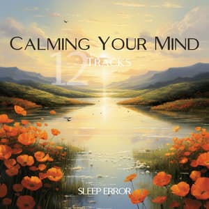 12 Tracks for Calming Your Mind: An Anti-Stress Therapy with Ultimate Relaxation Yoga & Meditation - Sleep Error