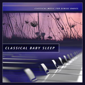 Classical Baby Sleep - Classical Music For Genius Babies