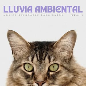 Lluvia Ambiental: Música Saludable Para Gatos Vol. 1 - Ejemplo de biblioteca de lluvia