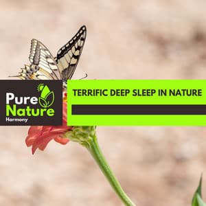 Terrific Deep Sleep in Nature - Nature Field Recordings