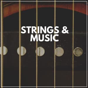Strings & Music - Guitar Instrumentals