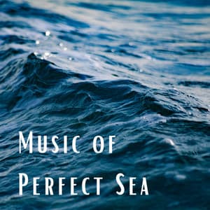 2021 Music of Perfect Sea - Ocean Makers