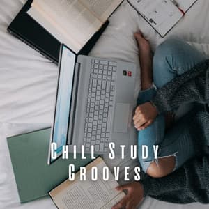 Chill Study Grooves: Lofi Vibes for Academic Success - Lofi For Study
