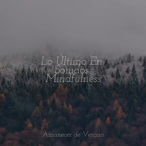 Lo Último En Sonidos Mindfulness - Música Para Meditar y Relajarse