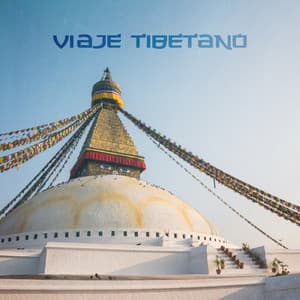 Viaje Tibetano: Activa tu Mente Superior, Tambores Tibetanos, Trance Budista y Meditación - Meditación Budista Zen
