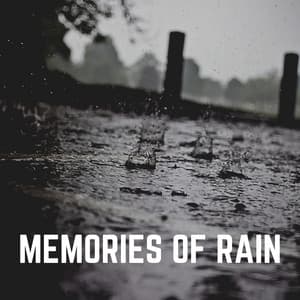 Memories of Rain - Rain Man Sounds