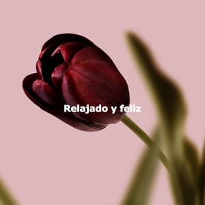 Relajado y feliz - Nhạc Piano Cổ Điển