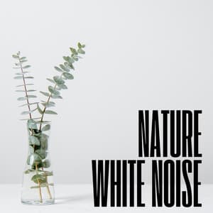 Natural White Noise - Lucid Dreaming World-Collective Unconscious Mind
