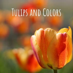 Tulips and Colors - Natural Samples