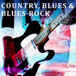 Country, Blues & Blues Rock - Paul Lenart