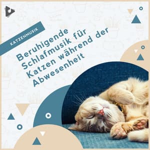 Beruhigende Schlafmusik für Katzen während der Abwesenheit - Katzenmusik