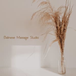Balinese Flow of Touch Studio - Nikitovich