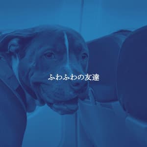 ふわふわの友達 - Elevator Music