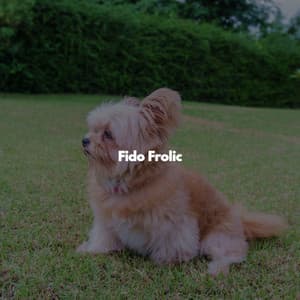 Fido Frolic - Soft Jazz Mood