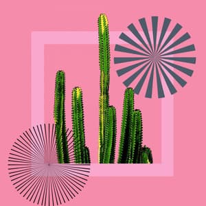 Feelings for Just Relaxing Monday - Sunday Evening Music