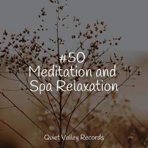 #50 Meditation and Spa Relaxation - Mother Earth Sounds