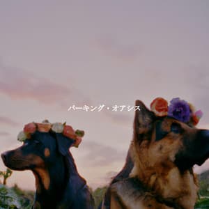 バーキング・オアシス - Weekend Jazz Environment