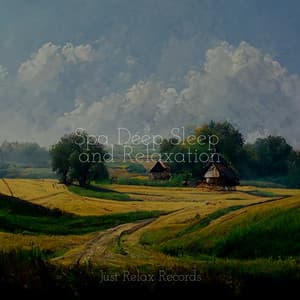 Spa Deep Sleep and Relaxation - Massage Therapy Music