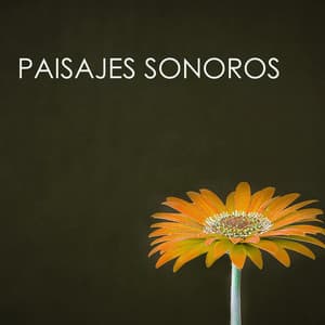 Paisajes Sonoros - Música Relajante con Sonidos Naturales para Sanar el Alma - Música para Sanar el Alma