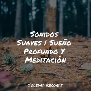 Sonidos Suaves | Sueño Profundo Y Meditación - Mantra para Dormir