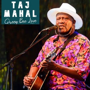Queen Bee Live - Taj Mahal