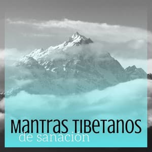 Mantras Tibetanos de Sanación: Música para Terapias de Sanación Espiritual - Cuencos Tibetanos