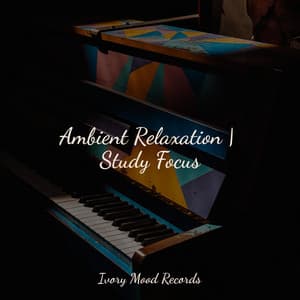 Ambient Relaxation | Study Focus - Ivory Mood