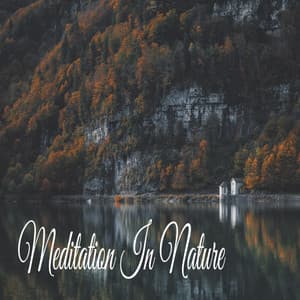 Meditation In Nature - Rain Sounds Nature Collection