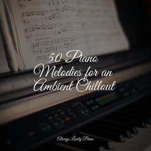 Lovely Piano Melodies for Restful Working and Studying - Gentle Piano Music