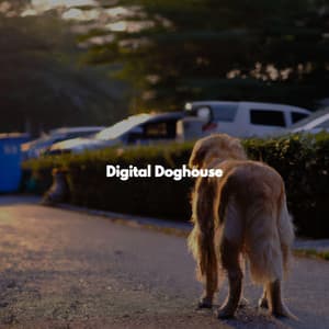 Digital Doghouse - Happy Instrumental Music
