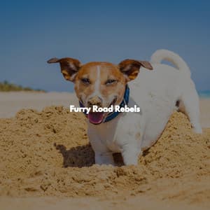 Furry Road Rebels - Coffee House Smooth Jazz Playlist