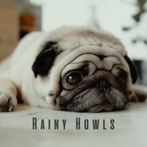 Rainy Howls: Binaural Melodies for Relaxing Dogs - Dog Therapy Music