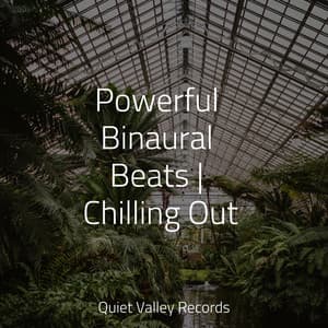 Powerful Binaural Beats | Chilling Out - Sleep Sounds