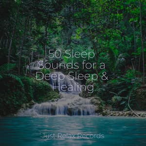 50 Sleep Sounds for a Deep Sleep & Healing - Música Zen Relaxante