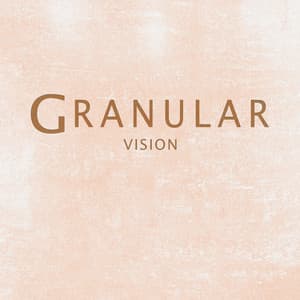 Vision - Granular
