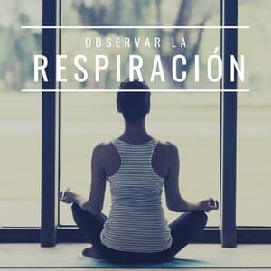 Observar la Respiración: Música para Meditar y Relajar, Sonidos de la Naturaleza - Musica para Meditar Especialistas