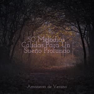50 Melodías Cálidas Para Un Sueño Profundo - Música para Correr