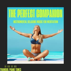 The Perfect Companion: Instrumental Relaxing Music for Meditation - Tranquil Piano Tunes